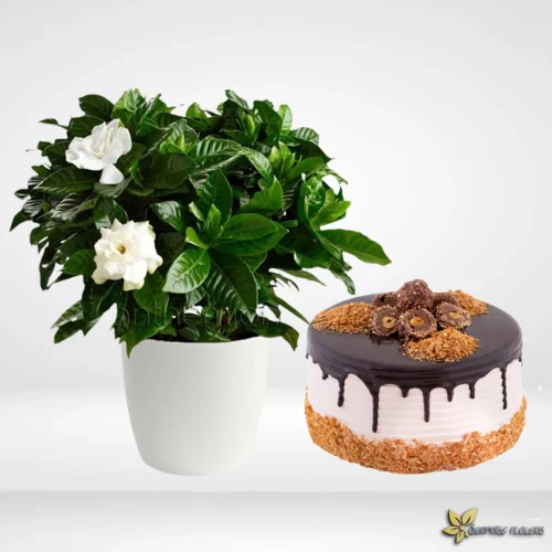 delivery flowers and gifts in amman