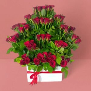 red-roses-in-amman-jordan-online