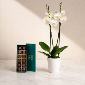 Orchids plant