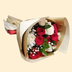 red-and-white-roses