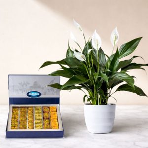 Spathiphyllum plant and 550 gr arabic sweets