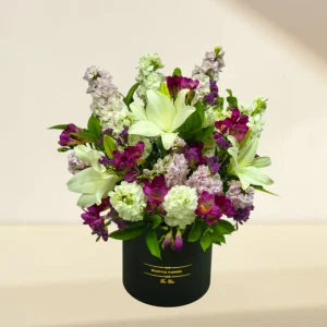 matthiola and lilly flower