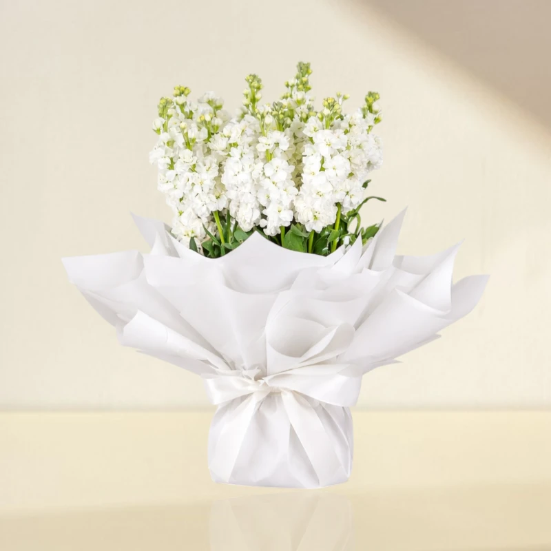 matthiola flower bouquet
